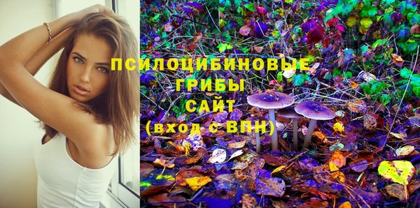ECSTASY Алексин
