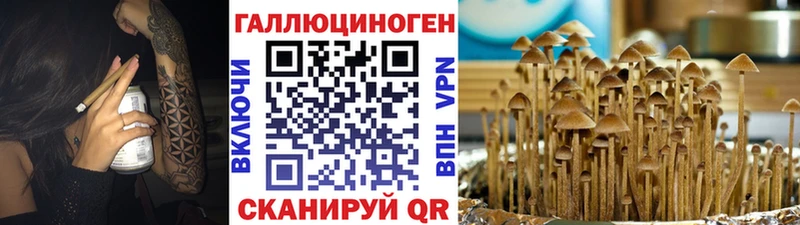 Галлюциногенные грибы прущие грибы мега сайт Тверь