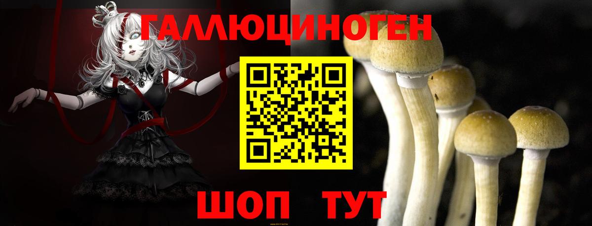 Псилоцибиновые грибы мухоморы  где можно купить наркотик  Вход с VPN  Тверь  Галлюциногенные грибы прущие грибы 
